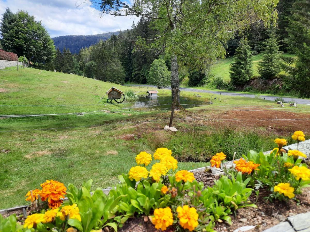 Chalet Elisa Le Valtin Dış mekan fotoğraf